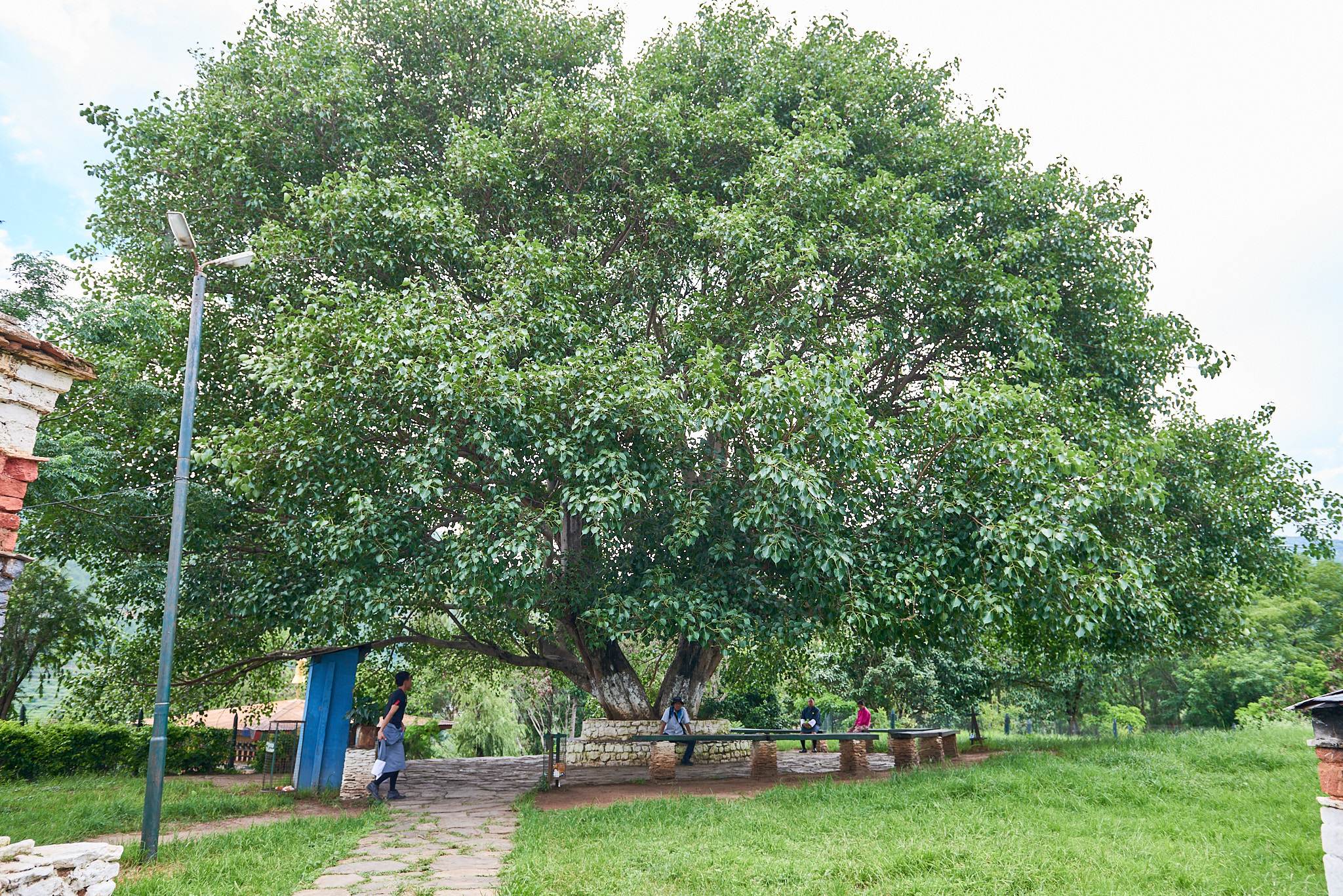 20170805 073 Bhutan Chimi Lhakhang